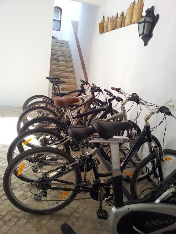 Casa Da Tia Guida Bed and Breakfast Golegã Εξωτερικό φωτογραφία