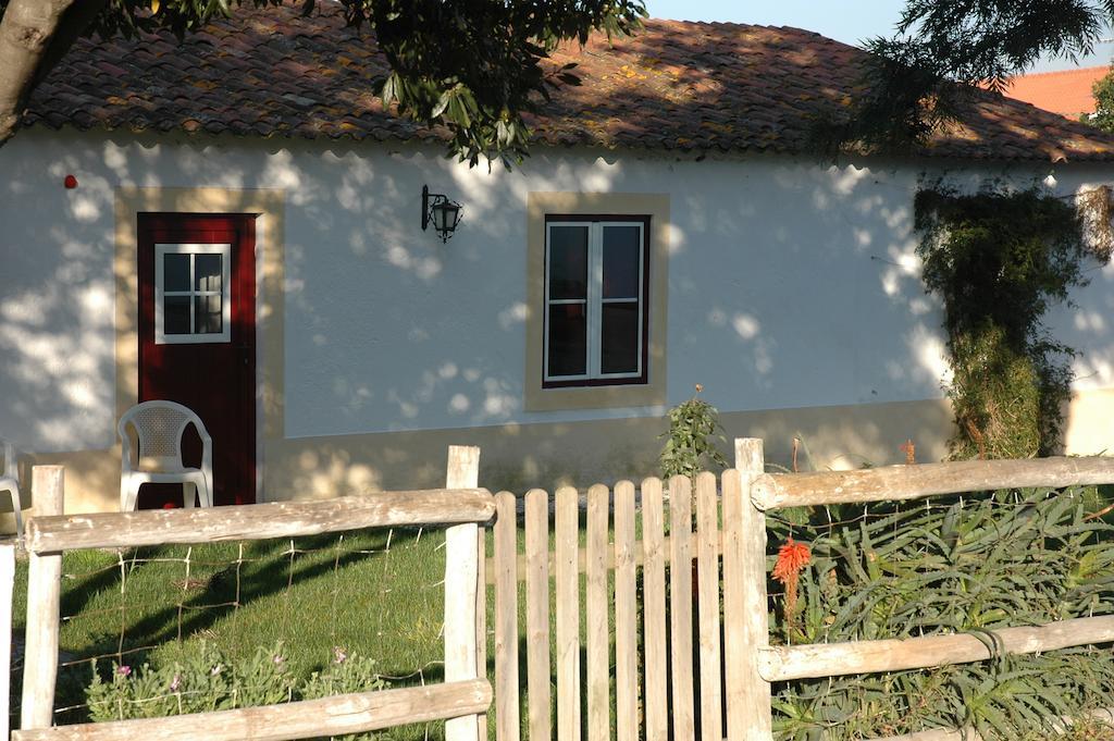 Casa Da Tia Guida Bed and Breakfast Golegã Εξωτερικό φωτογραφία